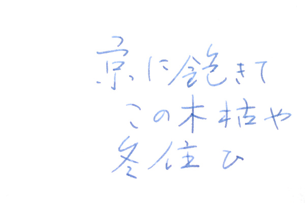 http://kanezaki.net/pens/script221mblcs.jpg